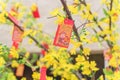 Lucky money envelops hanging on artificial yellow apricot at Tet market in Texas, America