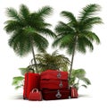 Red luggage in the tropics Royalty Free Stock Photo