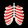 Red Lungs With Rib Cage 3D Element On Black