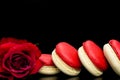 Red macaroon on black background with red roses Royalty Free Stock Photo