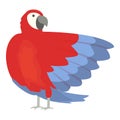 Red macaw icon cartoon vector. Tropical bird