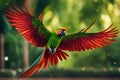 Red macaw parrot flying in the jungle. Nature background.