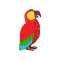 Red macaw parrot vector Illustration Royalty Free Stock Photo