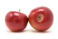 Red macintosh apple Royalty Free Stock Photo