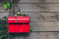 Red mail box on wooden wall background with small ivy plant Royalty Free Stock Photo
