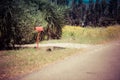 Red mailbox in a country road