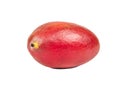 Red mango fruit Royalty Free Stock Photo