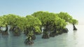 Red mangroves on Florida coast 3d rendering