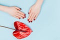 Red manicure and flower. Royalty Free Stock Photo