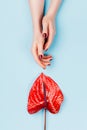 Red manicure and flower. Royalty Free Stock Photo