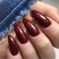 Stylish trendy red female manicure.Hands of a woman with red manicure on nails