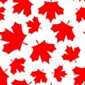 Red maple canada seamless pattern. Vector Illustration Royalty Free Stock Photo