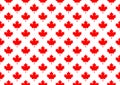 Red maple canada seamless pattern. Royalty Free Stock Photo