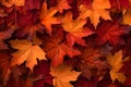 Red maple fall leaves, nature pattern. Autumn background, flat design. Orange leaf. Top view. Bright october texture. Image is AI