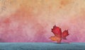 Red maple leaf against gradient background, vibrant colors, textured surface, autumn theme Royalty Free Stock Photo