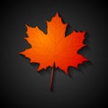 Red maple leaf. Autumn background Royalty Free Stock Photo