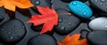 A Red Maple Leaf and Black and Blue Stones Royalty Free Stock Photo