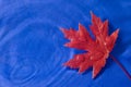 Red Maple Leaf Floating On Blue Royalty Free Stock Photo