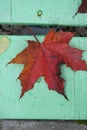 Red maple leaf on a green bench. Royalty Free Stock Photo
