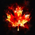 Red Maple Leaf illustration. Canada symbol,Maple leaf icon.