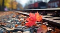 a red maple leaf laying on the ground next to railroad tracks