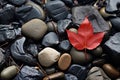 a red maple leaf sits on top of a pile of rocks