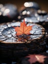 a red maple leaf sits on top of a wooden stump