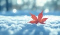 Red maple leaf on snow with blurred background creating a serene winter atmosphere Royalty Free Stock Photo