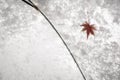 red maple leaf and snow on translucent umbrella Royalty Free Stock Photo