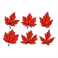 Red maple leaf vector hand drawn set. autumn season symbol. canadian symbol Royalty Free Stock Photo