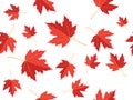 Red maple leaf vector seamless pattern for wallpaper, background, cover, greeting card, fabric textile Royalty Free Stock Photo