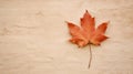 Red maple leaf on the wall background Royalty Free Stock Photo