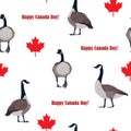 Red maple leaves and Canadian geese on white background. Canada Day seamless pattern, vector illustration. Royalty Free Stock Photo