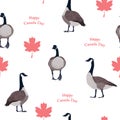 Red maple leaves and Canadian geese on white background. Canada Day seamless pattern, vector illustration Royalty Free Stock Photo