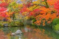 Red maple leaves or fall foliage in colorful autumn season near Fujikawaguchiko, Yamanashi. Five lakes. Trees in Japan with blue Royalty Free Stock Photo