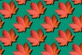 Red maple leaves pattern on green background. Top view. Flat lay. Season concept. Creative layout of colorful autumn leaves Royalty Free Stock Photo