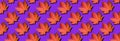 Red maple leaves pattern on violet background. Top view. Flat lay. Season concept. Creative layout of colorful autumn leaves Royalty Free Stock Photo
