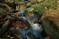 Red maple leaves at waterfall of Phu Kradueng