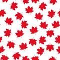 Red maple leaves on white background Canadian seamless pattern. Canada Day background. Vector template for Canadian holiday party Royalty Free Stock Photo