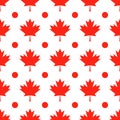 Red maple leaves on white background Canadian seamless pattern. Canada Day background. Vector template for Canadian Royalty Free Stock Photo