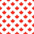 Red maple leaves on white background Canadian seamless pattern. Canada Day background. Vector template for Canadian Royalty Free Stock Photo