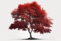 Red Maple Tree On A White Background. Generative AI Royalty Free Stock Photo
