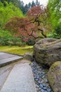 Red Maple Trees at Japanese Garden Royalty Free Stock Photo