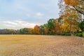 Red maple trees skyline in park garden with grass field. Leaves or fall foliage in colorful autumn season in Kyoto City, Kansai. Royalty Free Stock Photo