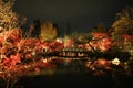 Red maples change from yellow to red in autumn at night in Eikan-do Zenrin-ji
