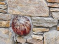 Red marbleized bowling ball embedded in a stone wall Royalty Free Stock Photo