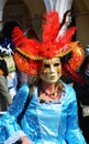 Red mask, wig and feathers, Venice, Italy, Europe Royalty Free Stock Photo