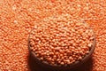 Red Masoor Dal - Small red coloured lentils used in Indian food