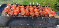 Red meat kebabs cooking on an charcoal mangal outdoor