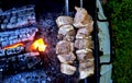 Red meat on skewers above charcoal grill